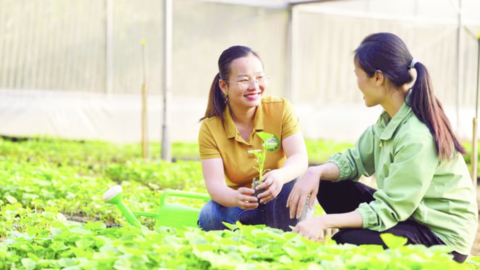 Chuyển giao công nghệ, đổi mới tư duy sản xuất