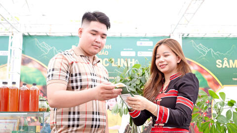 Nâng cấp sản phẩm OCOP, đáp ứng thị trường