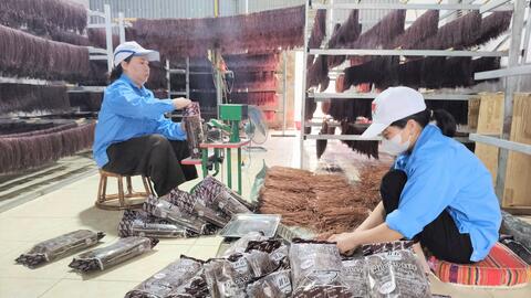 Tạo xung lực mới cho doanh nghiệp và nền kinh tế