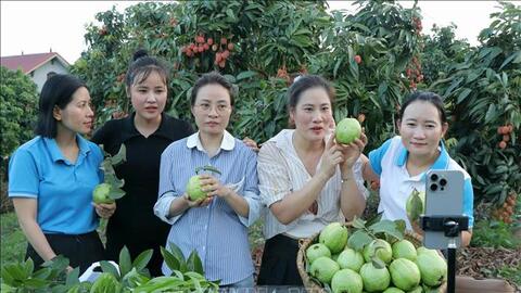 Khai thác tiềm năng, mở rộng không gian tăng trưởng kinh tế số