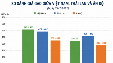 Giá gạo xuất khẩu phục hồi nhưng doanh nghiệp vẫn chịu áp lực cạnh tranh gay gắt