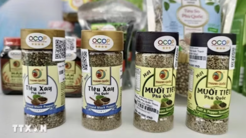 Phú Quốc nâng tầm sản phẩm OCOP, đưa tinh hoa bản địa ra thế giới