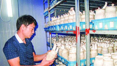 Hỗ trợ doanh nghiệp nhỏ và vừa tăng tốc chuyển đổi số