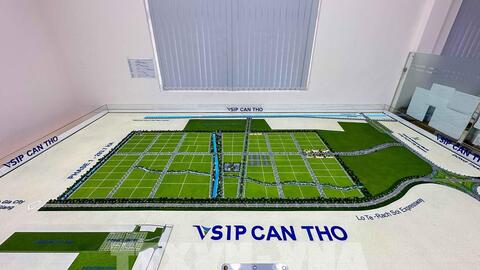 Cần Thơ đặt mục tiêu có 100 doanh nghiệp công nghệ số