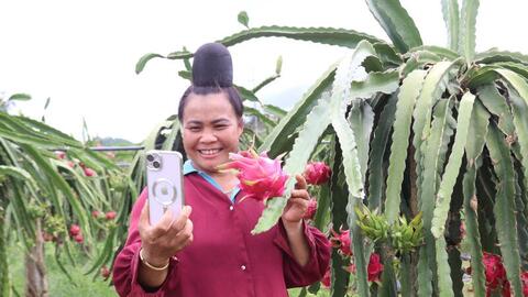 Sở hữu trí tuệ mở đường cho nông sản HTX Sơn La chinh phục thị trường