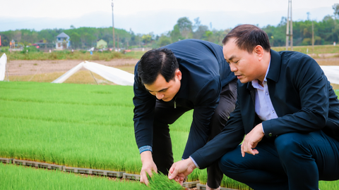 Xử lý giống cây trồng và sản phẩm OCOP nhái: Cần "lá chắn" sở hữu trí tuệ