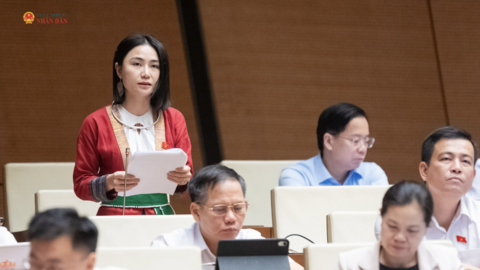 Hỗ trợ đất, nhà ở phải đi cùng sinh kế bền vững