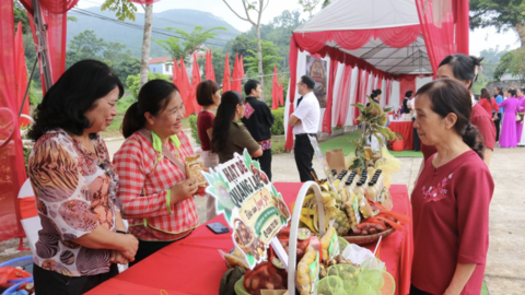 Đa dạng sản phẩm từ hạt dẻ