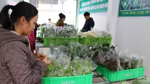 Giảm thuế 30% để tiếp thêm nguồn lực cho hộ kinh doanh và hỗ trợ tiêu dùng