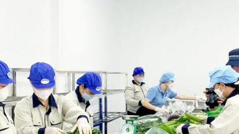 Hà Nội xây dựng hệ sinh thái dữ liệu, kiểm soát an toàn thực phẩm từ gốc