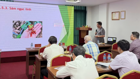 Thúc đẩy các giải pháp phát triển dược liệu tại Việt Nam