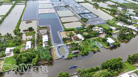 Mở dư địa tăng trưởng từ thế mạnh thuỷ sản