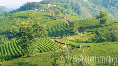 Phú Thọ đưa sản phẩm OCOP vào chuỗi giá trị du lịch