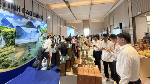Cao Bằng quảng bá sản phẩm OCOP qua chương trình kết nối giao thương giữa các hệ thống phân phối hiện đại tại tỉnh Nghệ An