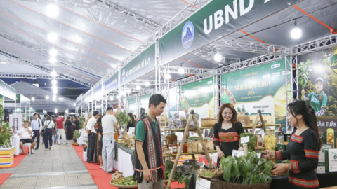 Quà quê kể chuyện Đà Nẵng