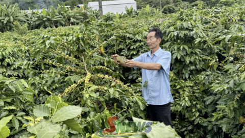 Chất lượng - nâng tầm thương hiệu OCOP