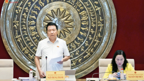 Thẩm tra sơ bộ dự án Luật sửa đổi, bổ sung một số điều của Luật Sở hữu trí tuệ