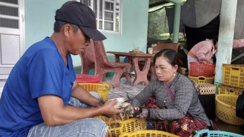 Phát triển bền vững ngành hàng cua vùng địa đầu cực Nam của tổ quốc