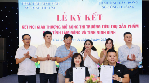 Kích cầu tiêu dùng: Hướng về thị trường nội địa