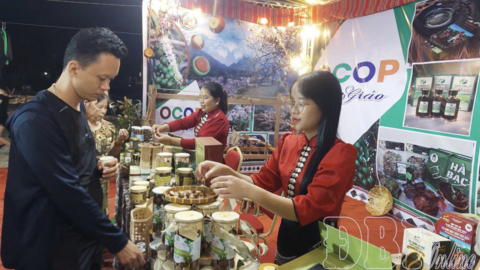 Nâng sức cạnh tranh cho sản phẩm OCOP