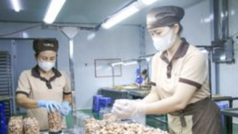 Sản phẩm OCOP và bài toán tạo sự khác biệt
