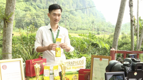 Từ thương hiệu đến sản phẩm số