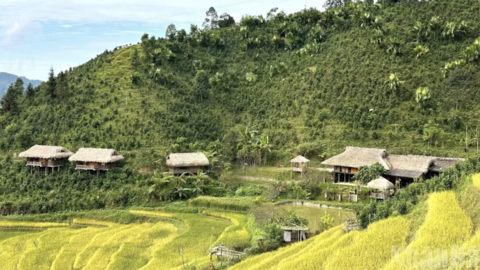Không gian quảng bá, kết nối sản phẩm OCOP gắn với du lịch cấp vùng tại tỉnh Lào Cai năm 2026
