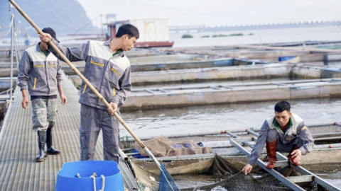 Siết chặt quản lý vật tư dùng trong nuôi trồng thủy sản