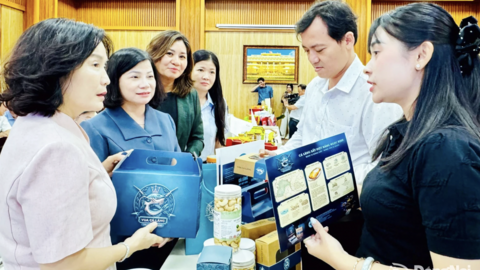 Nâng tầm sản phẩm OCOP