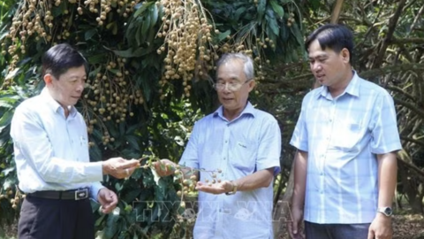 Chuyển đổi xanh và số nâng tầm thương hiệu nhãn Châu Thành