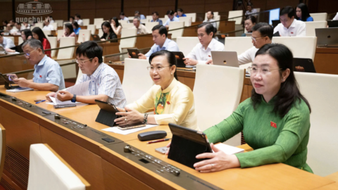 Doanh nghiệp Việt cần liên kết để xây dựng thương hiệu xanh vươn ra thế giới