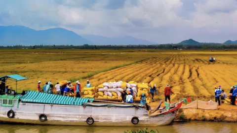 Thương mại hóa tài sản trí tuệ tại ĐBSCL: Khơi thông dòng chảy từ phòng thí nghiệm ra thị trường