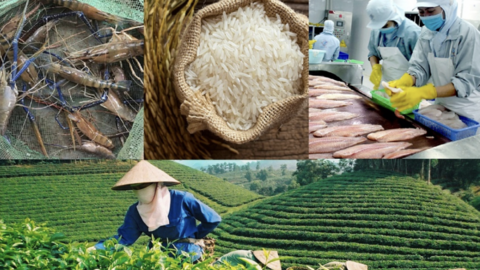 Hỗ trợ nông dân xây dựng thương hiệu, nhãn hiệu hàng hóa nông sản