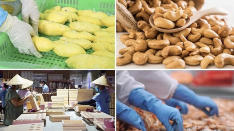 Nông nghiệp Việt Nam từ quốc gia thiếu đói đến cường quốc nông sản 70 tỷ USD