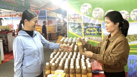 Phát triển tài sản trí tuệ - nâng tầm thương hiệu sản phẩm