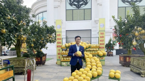 Phát triển sở hữu trí tuệ - Nâng tầm giá trị thương hiệu Đất Tổ