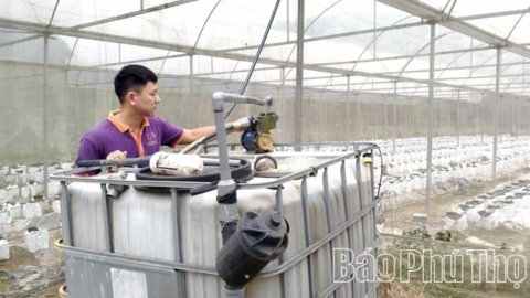 Tăng cường ứng dụng công nghệ vào sản xuất nông nghiệp