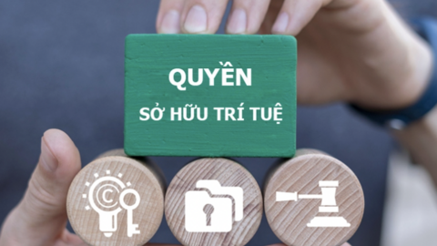 Chống vi phạm sở hữu trí tuệ