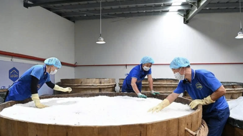 Gia tăng giá trị cho sản phẩm OCOP
