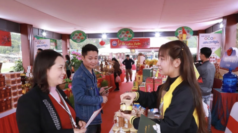 Hải Phòng đẩy mạnh thương mại điện tử, hỗ trợ tiêu thụ sản phẩm OCOP