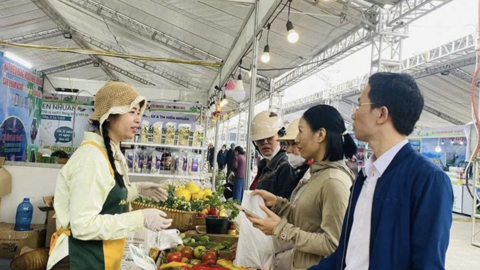 Hệ sinh thái sản phẩm OCOP xứ Thanh - liên kết để vươn xa