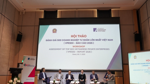 Doanh nghiệp tư nhân không chỉ lớn, mà còn phải mạnh