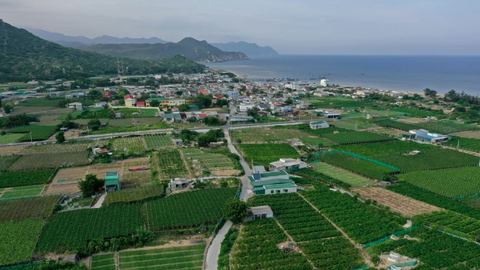 Hai dự án điện hạt nhân tại Khánh Hòa dự kiến vận hành giai đoạn 2030-2035