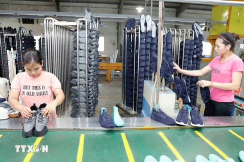 Doanh nghiệp châu Âu lạc quan vào tiềm năng tăng trưởng dài hạn của Việt Nam