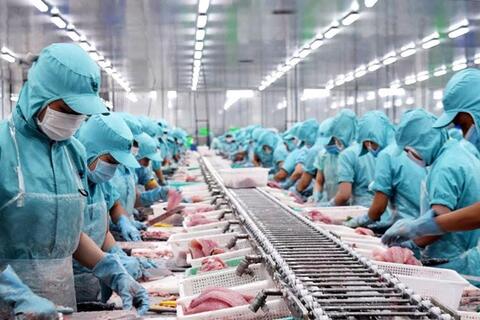 Sáu chiến lược giúp doanh nghiệp xuất khẩu vượt qua biến động thương mại 2025