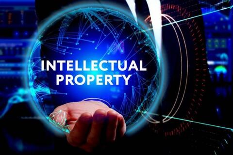 Quyền sở hữu trí tuệ và phân chia lợi nhuận trong dự án PPP