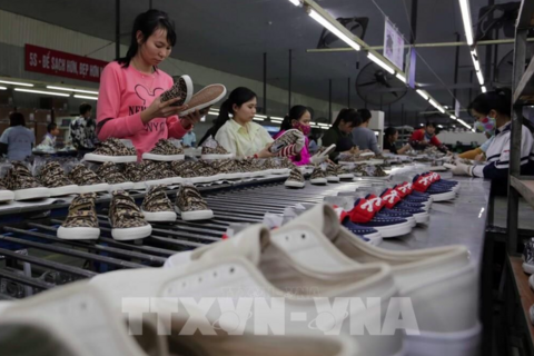 Kinh tế Việt Nam qua góc nhìn quốc tế: Triển vọng vững từ nền tảng ổn định