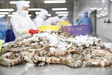 Đưa con tôm quay về thị trường nội địa: Chiến lược cho một tương lai bền vững