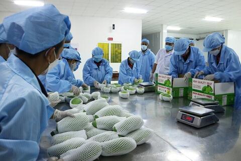 Doanh nghiệp Việt trước 'sóng' cạnh tranh từ RCEP