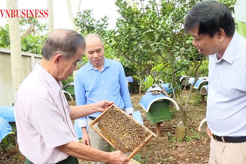 OCOP nở rộ trong lòng nông thôn mới, nông dân xứ Nghệ 'tiền đầy túi'